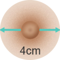 4cm 