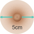 5cm 