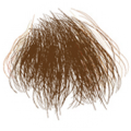 Brown  + $30.00 