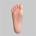 standing foot (hardened foot without screw) 